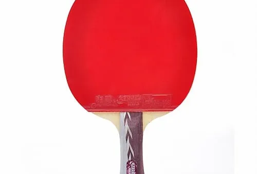 Review of DHS Table Tennis Racket #A4002