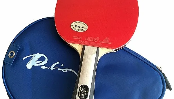 Palio Expert 2 Racket Review