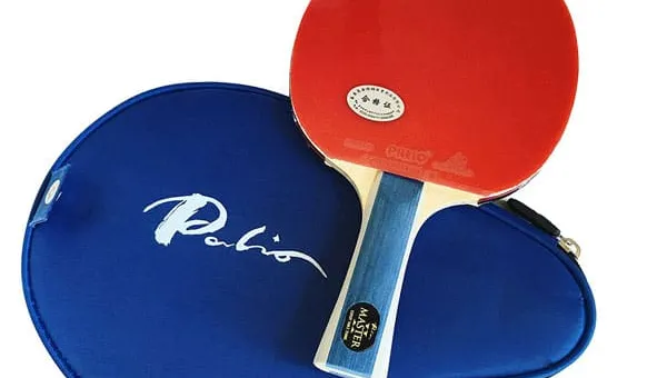Palio Master 2 Table Tennis Bat Review