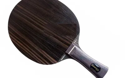 Stiga Table Tennis