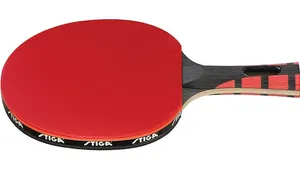 Best Ping Pong Paddle for Beginners 2026: Control-First Picks