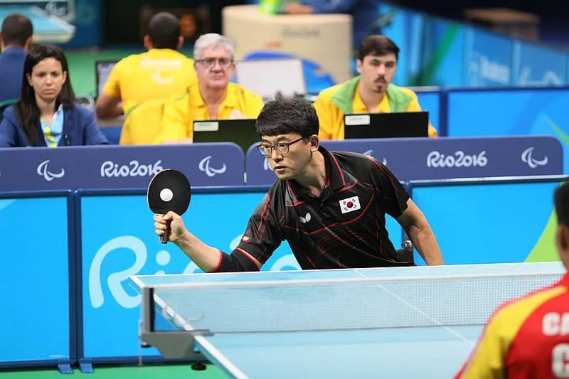 table tennis style blocker