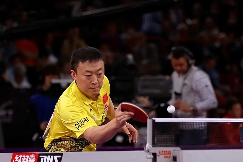 table tennis styles