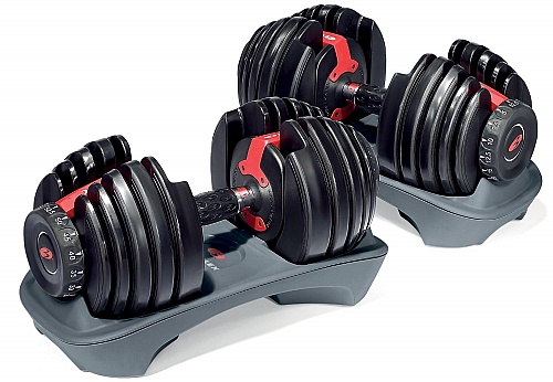 bowflex dumbbell