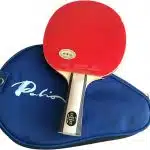 palio expert table tennis bat