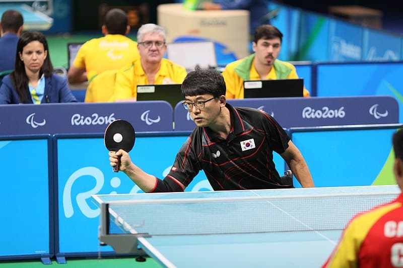 table tennis style blocker