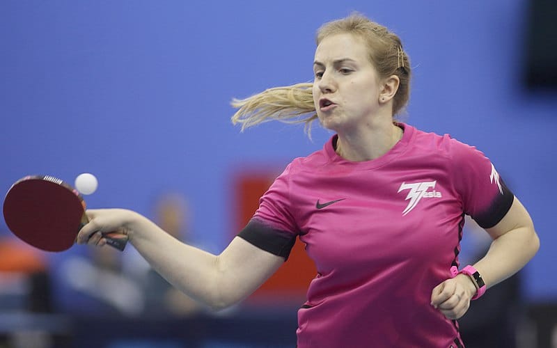table tennis styles flat-hitting