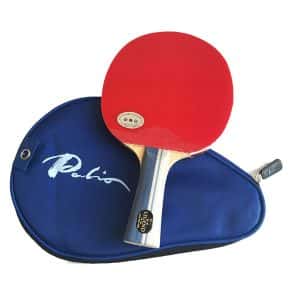 Palio Legend 2